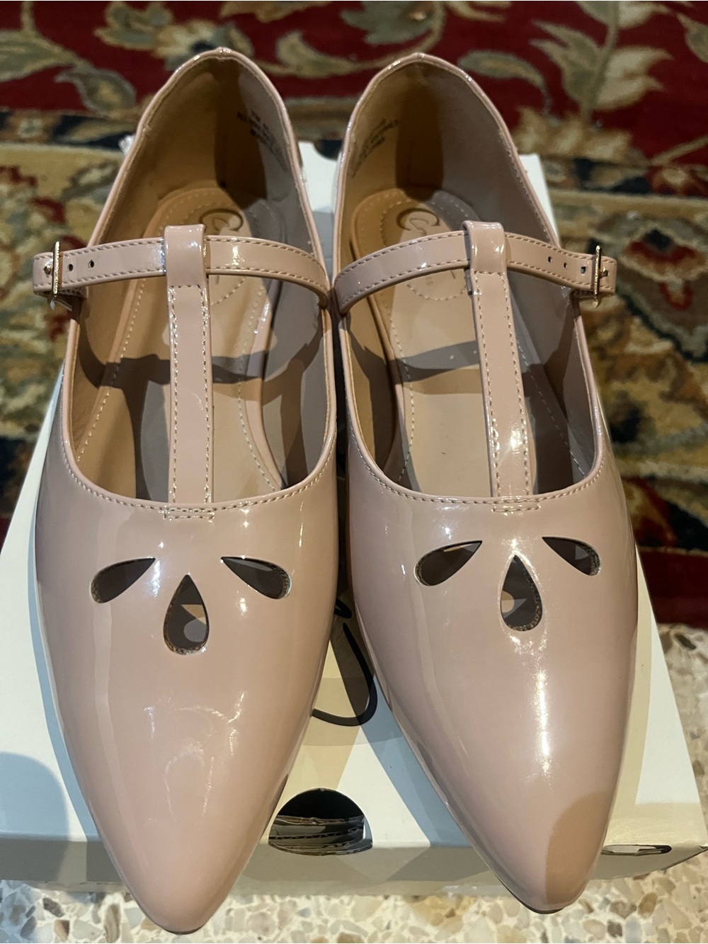 T-Strap Pointed Patent Flats in Blush